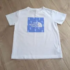 THE NORTH FACE シロクマプリント Tシャツ