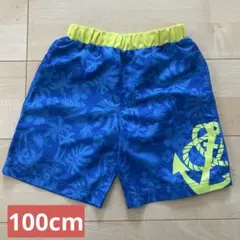 キッズ　水着　男の子　100cm