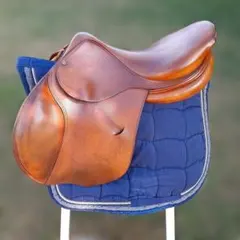 Item thumbnail for item a972ef46-9239-4c72-b187-8adf48fdf84b