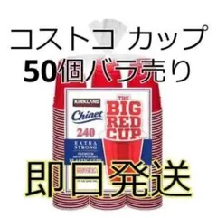 Item thumbnail for item 31ccaf74-1e87-4c51-9f9c-8de6be76f940