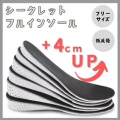 【4cm UP】 シークレットインソール 中敷き 身長アップ レディース メンズ