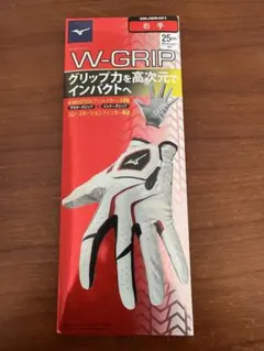 Mizuno W-GRIP ゴルフグローブ 右手用 25cm