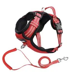 犬 ハーネス リードセット 犬用胴輪 小型犬 散歩 ドッグ用　ラ0309C