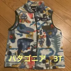 patagonia フリース ベスト 3T