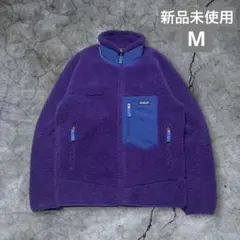 未使用 希少カラー Patagonia パタゴニア レトロX フリースジャケット