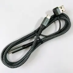 SUNGUY 2in1 USB C ケーブル 1M
