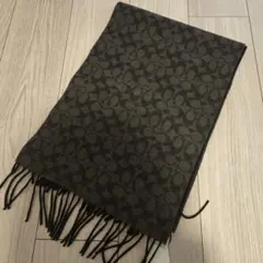 2026年最新】コーチストールの人気アイテム - メルカリ