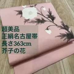 Item thumbnail for item a557c790-7895-4f98-87f9-1624f3346014