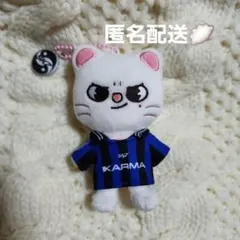 StrayKids Karma Skzoo ジニレット