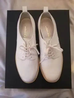 Item thumbnail for item 72a66b12-bc48-49e2-8f91-f838d7d019d1