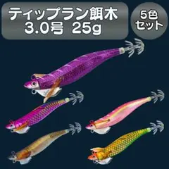 ティップラン専用エギ 3.0号 25g 5本セット ケース付き ボート カヤック