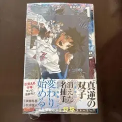 ハルカゼマウンド　1巻　特典付　アニメイト　イラストカード　一読のみ　美品