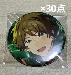 あんスタ 翠 イベコレ缶バッジ 2023SUMMER 計30点セット - メルカリ