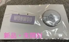 【新品・未開封】SEVENTEEN ウォヌ　バッジセット