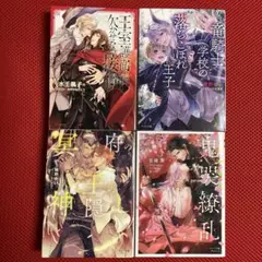 BL小説　まとめ売り