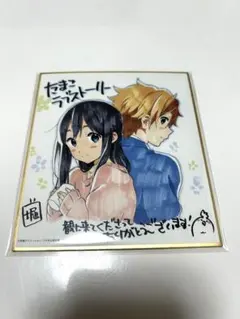 たまこラブストーリー 販促ポスター B2 非売品 たまこまーけっと