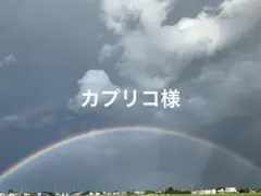 カプリコ様 リクエスト 5点 まとめ商品