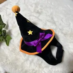 Real ハロウィン 魔女帽子 ペット用 Lサイズのサムネイル