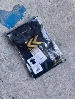 Item thumbnail for item 908e1941-0a46-4402-98e6-3776b83c4398