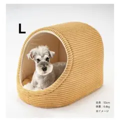 Item thumbnail for item df3bff4e-139f-414f-a9b9-e4854a4ada2a