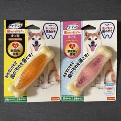 Item thumbnail for item f376bf18-24c6-4c03-8643-53b46b0b29f9