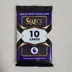 Panini Select 2024-25 Premier League