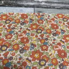 感謝SALE リバティ 19×35cmギリギリ