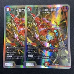 バラドヴィナシューラ　即購入歓迎 2025年最新】バラドヴィナシューラ 2枚の人気アイテム - メルカリ