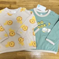 Item thumbnail for item 83cd0946-ab21-43d8-afc4-b92c67229bd9