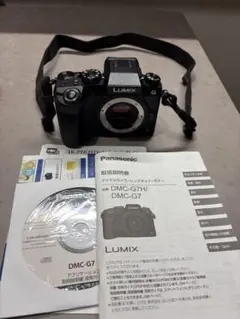 2026年最新】lumix g7hの人気アイテム - メルカリ
