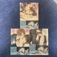 美しい彼 小説 1~3巻セット ドラマ帯び付き 未使用