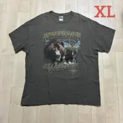GILDAN グリズリーベア Tシャツ XL
