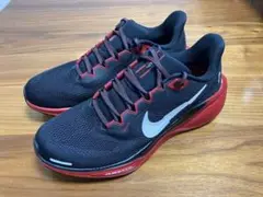 サイズ25.5 Nike ペガサス41 Bowerman Track Club