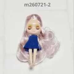 ❤️アイシードール❤️プチ 一体 グリーンパープルミックス - メルカリ