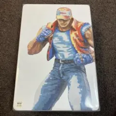STUDIO24 テリー ボガード 餓狼伝説 ドット絵彩色Ver. - メルカリ