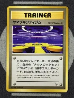 【美品】ヤマブキシティジム