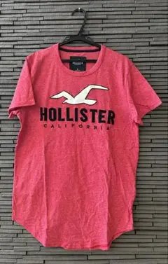 Hollister レッド Tシャツ Sサイズ