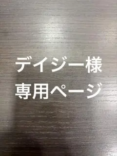 【デイジー様専用ページ】