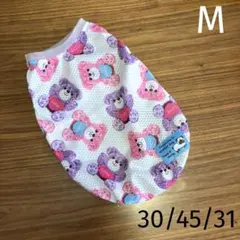 ダックス体型のシーズー♂様 リクエスト 2点 まとめ商品