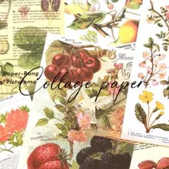 コラージュペーパー　果物や花　15枚　10x14cm　ジャンクジャーナル素材