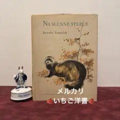 フランス アンティーク 紙もの 大量アルバム コレクター品 海外