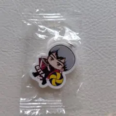 くら寿司 ハイキュー コラボ めじるしチャーム　アクセサリー 北 信介