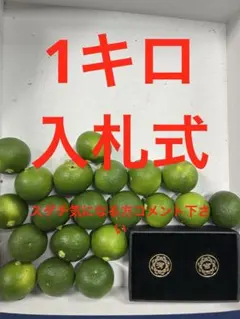 ハウススダチ　家庭用　約1キロ 入札式のサムネイル