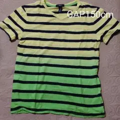 Gapkids　150cmグラデーションカラー