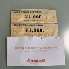 ビックカメラ　株主優待券　2000円分