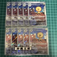 エレザード　ar 10枚