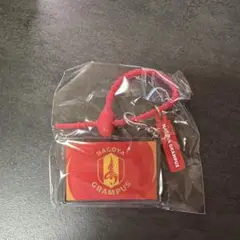 名古屋グランパス アクリルキーホルダー マルチチャーム