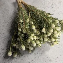 GORICHA様 リクエスト 2点 まとめ商品