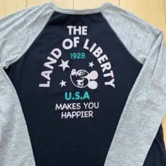 Item thumbnail for item 063d99de-05ff-45d7-b479-3b85ef29ff81