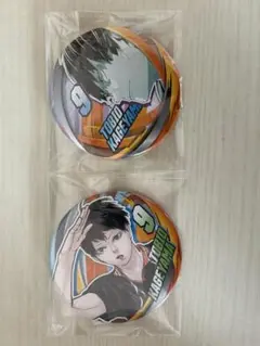 ハイキュー FAN PARK フォンパーク コレクション缶バッジ 影山飛雄